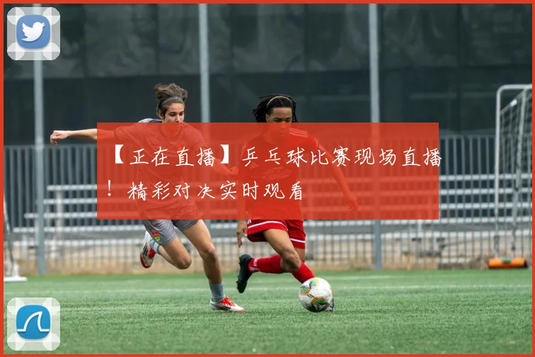 【正在直播】乒乓球比赛现场直播!精彩对决实时观看