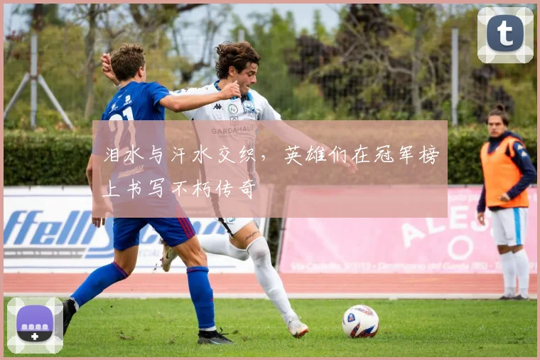 泪水与汗水交织，英雄们在冠军榜上书写不朽传奇