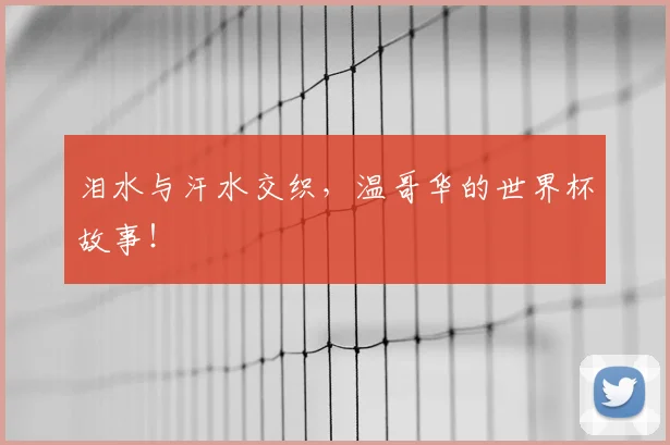 泪水与汗水交织，温哥华的世界杯故事！