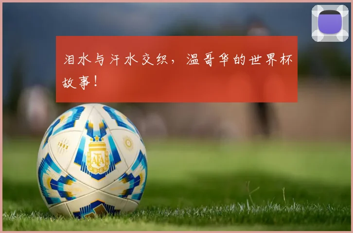 泪水与汗水交织,温哥华的世界杯故事!